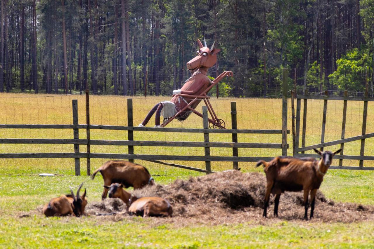 Penzion Kozi Farma Novy Dvur Česká Lípa Buitenkant foto